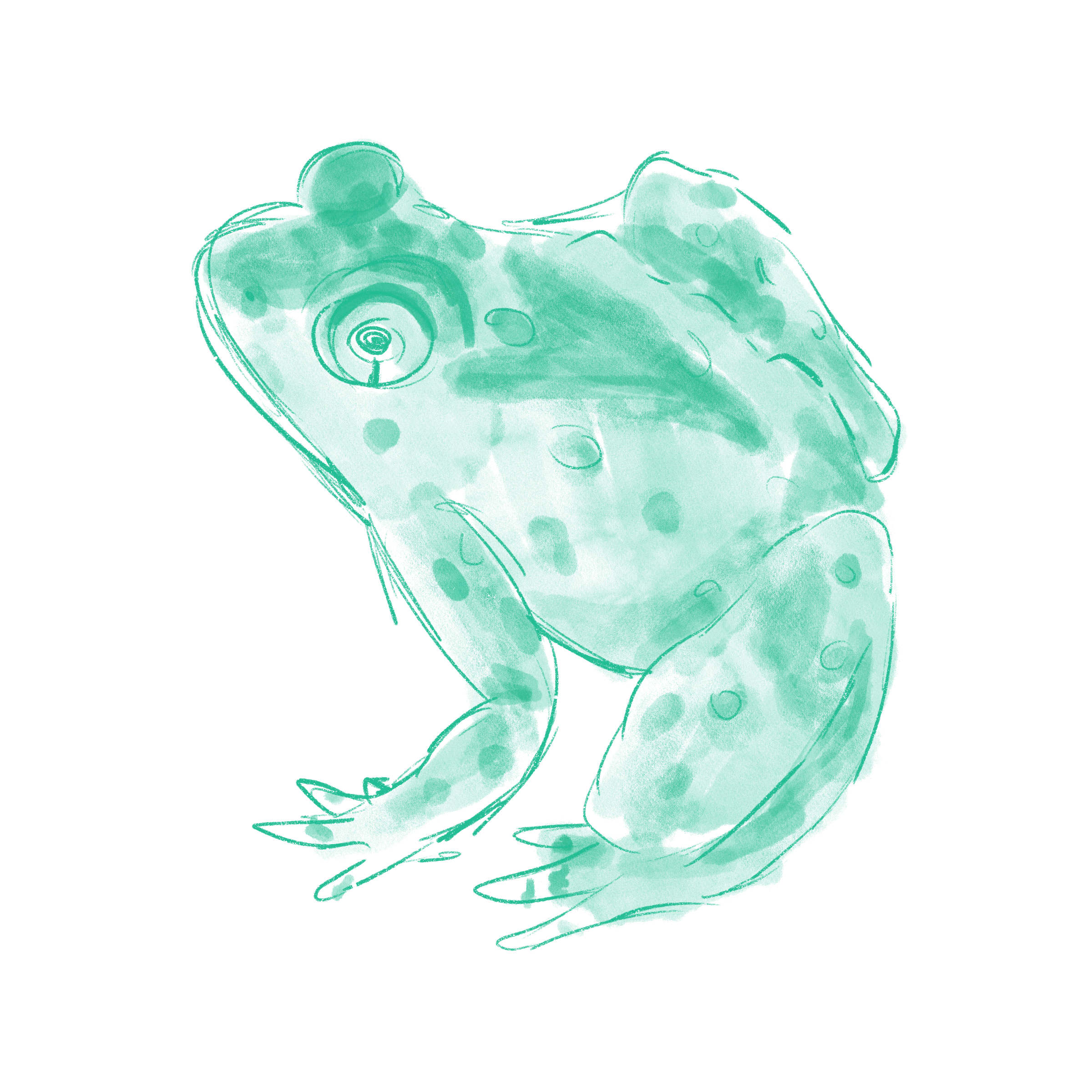 frog